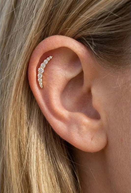 Lot de 2 piercings en acier inoxydable